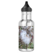 Milchkraut und Seide Edelstahlflasche (Rechts)