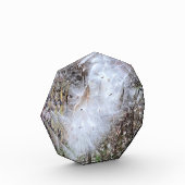 Milchkraut und Seide Fotoblock (Links)