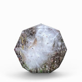 Milchkraut und Seide Fotoblock (Vorderseite)