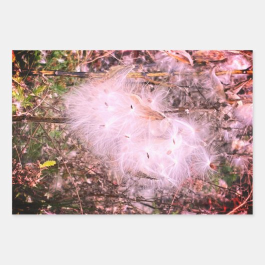 Milchkraut und Seide Geschenkpapier Set (Vorderseite 3)