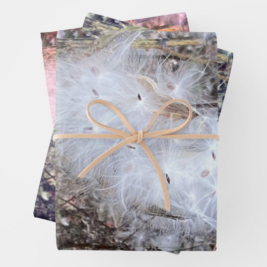 Milchkraut und Seide Geschenkpapier Set (Beispiel)