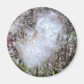 Milchkraut und Seide Magnet (Vorne)