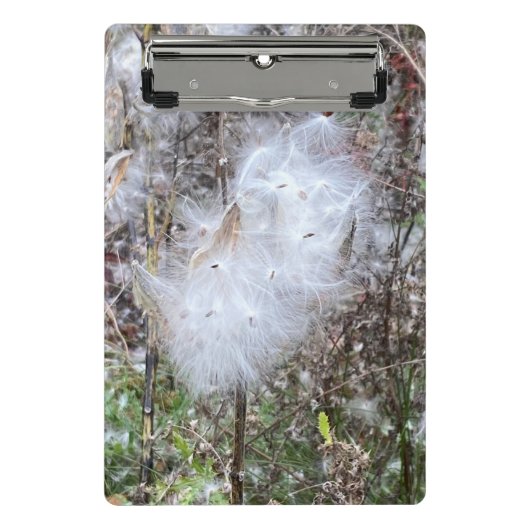 Milchkraut und Seide Mini Klemmbrett (Vorderseite)