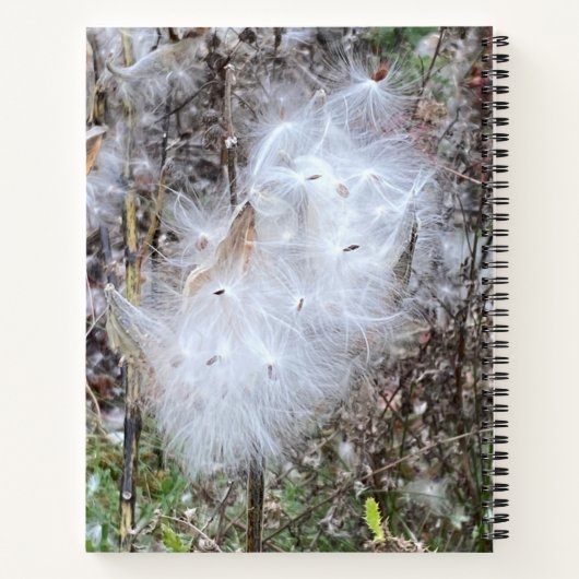 Milchkraut und Seide Notizblock (Rückseite)