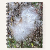 Milchkraut und Seide Notizblock (Vorderseite)