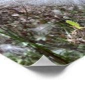 Milchkraut und Seide Poster (Ecke)