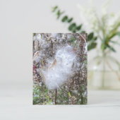 Milchkraut und Seide Postkarte (Stehend Vorderseite)