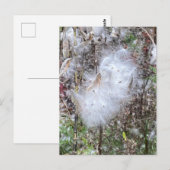Milchkraut und Seide Postkarte (Vorne/Hinten)