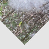 Milchkraut und Seide Seidenpapier (Ausschnitt)