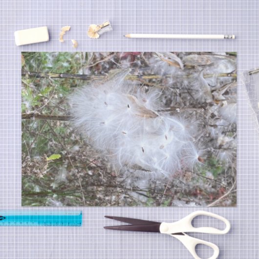 Milchkraut und Seide Seidenpapier (Handwerk)