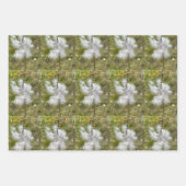 Milchkrautfrüchte, Samen und Seide | Natürlich Geschenkpapier Set (Vorderseite 3)