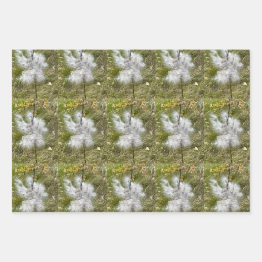 Milchkrautfrüchte, Samen und Seide | Natürlich Geschenkpapier Set (Vorderseite 3)