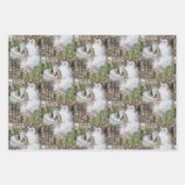 Milchkrautfrüchte, Samen und Seide | Natürlich Geschenkpapier Set (Vorderseite 2)