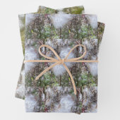 Milchkrautfrüchte, Samen und Seide | Natürlich Geschenkpapier Set (Beispiel)