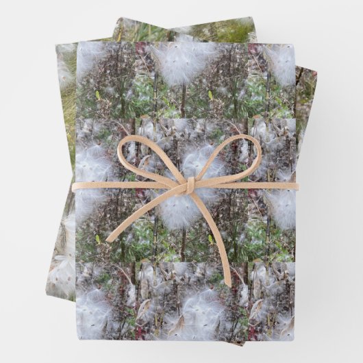 Milchkrautfrüchte, Samen und Seide | Natürlich Geschenkpapier Set (Beispiel)