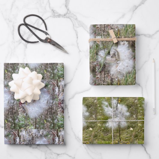 Milchkrautfrüchte, Samen und Seide | Natürlich Geschenkpapier Set (Vorderseite)