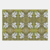 Milchkrautfrüchte, Samen und Seide | Natürlich | Geschenkpapier Set (Vorderseite 3)