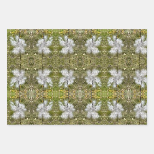 Milchkrautfrüchte, Samen und Seide | Natürlich | Geschenkpapier Set (Vorderseite 3)