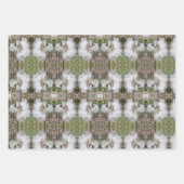 Milchkrautfrüchte, Samen und Seide | Natürlich | Geschenkpapier Set (Vorderseite 2)