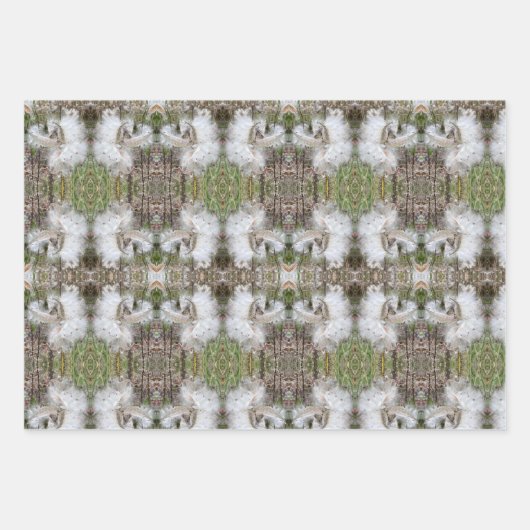 Milchkrautfrüchte, Samen und Seide | Natürlich | Geschenkpapier Set (Vorderseite 2)