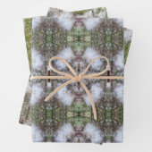 Milchkrautfrüchte, Samen und Seide | Natürlich | Geschenkpapier Set (Beispiel)