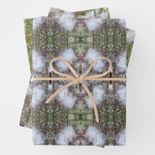 Milchkrautfrüchte, Samen und Seide | Natürlich | Geschenkpapier Set (Beispiel)