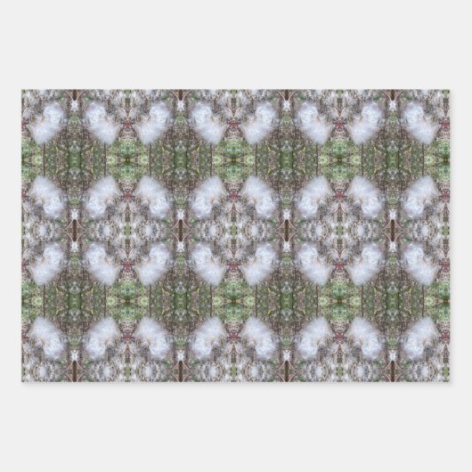 Milchkrautfrüchte, Samen und Seide | Natürlich | Geschenkpapier Set (Vorderseite)