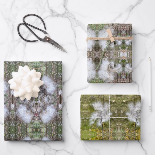 Milchkrautfrüchte, Samen und Seide | Natürlich | Geschenkpapier Set (Vorderseite)