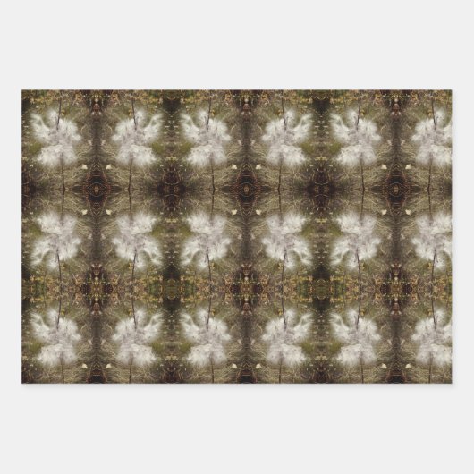 Milchkrautfrüchte, Samen und Seide | San Telmo | Geschenkpapier Set (Vorderseite 3)