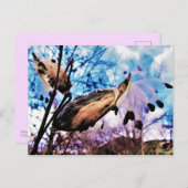 Milchkrautfrüchte und Künstlerische Samen Postkarte (Vorne/Hinten)