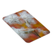 Milchkrautsamen im Herbst, Kanada Magnet (Rechte Seite)