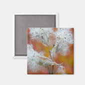 Milchkrautsamen im Herbst, Kanada Magnet (Vorderseite/Rückseite)