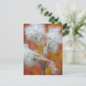 Milchkrautsamen im Herbst, Kanada Postkarte (Stehend Vorderseite)