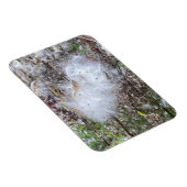 Milchkrautsamen und Seide, flexibel Magnet (Rechte Seite)