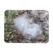 Milchkrautsamen und Seide, flexibel Magnet (Horizontal)