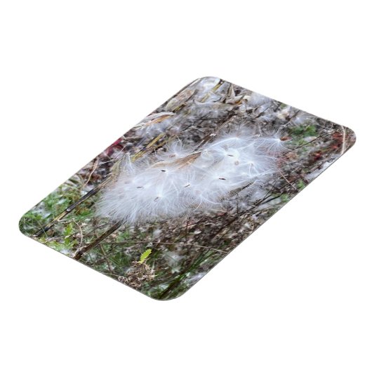 Milchkrautsamen und Seide, flexibel Magnet (Linke Seite)