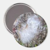 Milchkrautsamen und Seidenamt Magnet (Vorderseite/Rückseite)