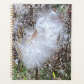 Milchkrautsamen und Seidenplaner Planer (Vorderseite)