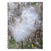 Milchkrautsamen und Seidenspirale Notizblock (Vorderseite)