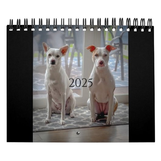 Milchkuchen und Milchshake Kalender (Titelbild)
