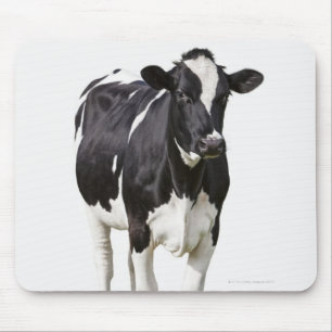 Milchkuh (Bosstier) auf weißem Hintergrund Mousepad