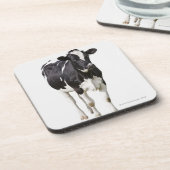 Milchkuh (Bosstier) auf weißem Hintergrund Untersetzer (Linke Seite)