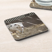 Milchkuh Getränkeuntersetzer (Linke Seite)