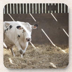 Milchkuh Getränkeuntersetzer