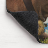 Milchkuh in den Alpen Mousepad (Ecke)