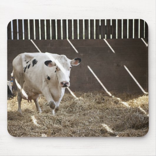 Milchkuh Mousepad (Vorne)