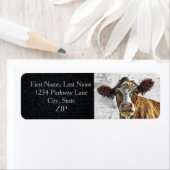 Milchkuh Red Holstein Niedliche Rücksendeadresse (Insitu)