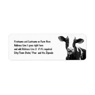 Milchkuh - Schwarzweiss-Molkereikalb