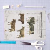 Milchkuh-Vintage Art-alte rustikale Kühe Seidenpapier (Handwerk)