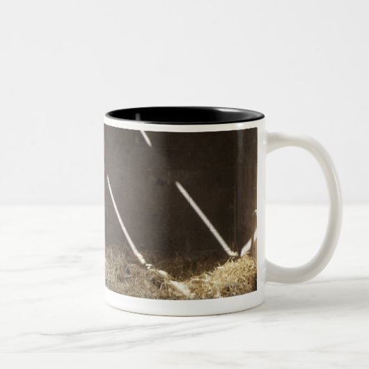 Milchkuh Zweifarbige Tasse (Rechts)
